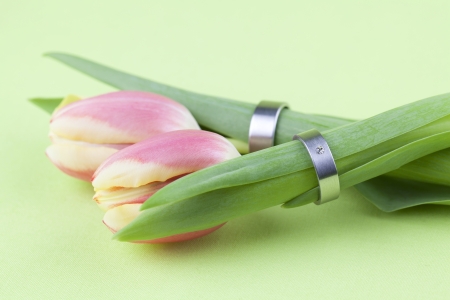 Titanium wedding rings on tulips  Shallow dofの写真素材