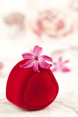 Red heart shaped gift box and little pink hyacinth flowersの写真素材