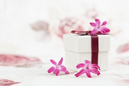 Gift box and little pink hyacinth flowers  Shallow dofの写真素材