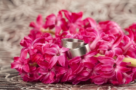 Titanium wedding rings on red hyacinth  Shallow dofの写真素材