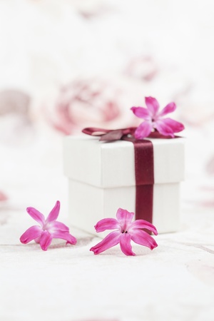 Gift box and little pink hyacinth flowers  Shallow dofの写真素材