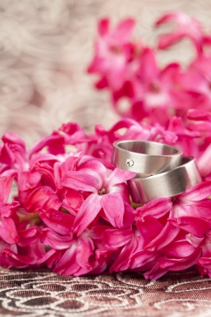 Titanium wedding rings on red hyacinth  Shallow dofの写真素材