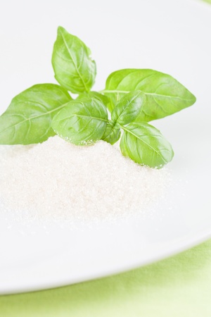 Basil and cane sugar on a plate  Shallow dofの写真素材