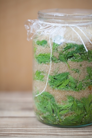 Jar with young spruce sprouts and cane sugar - making spruce syrup, alternative medicine for cough, cold or fluの写真素材