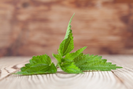 Close-up of fresh stinging nettle on wooden background  Shallow dofの写真素材