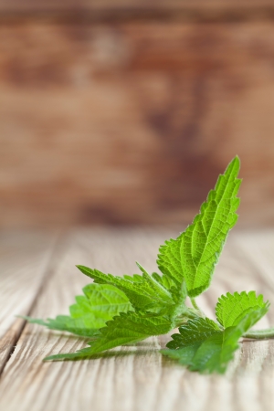 Close-up of fresh stinging nettle on wooden background  Shallow dofの写真素材
