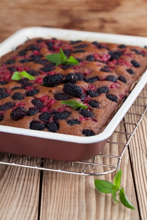Gingerbread cake with mulberries and red currants  Shallow dofの写真素材
