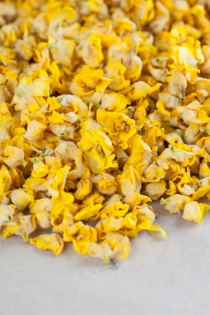 Background made from dry yellow mullein flowersの写真素材
