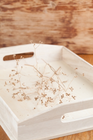 Wooden tray with dry coriander twigs  Shallow dofの写真素材