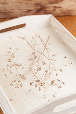 Wooden tray with dry coriander twigs  Shallow dofの写真素材