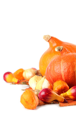 Autumn arrangement with Hokkaido pumpkins and physalis の写真素材