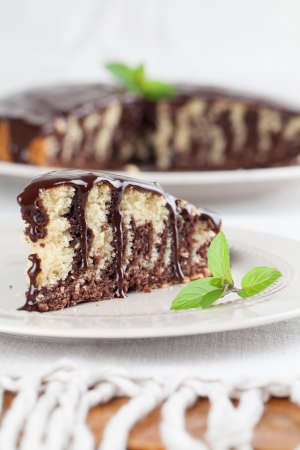 Zebra marble cake with chocolate glaze  の写真素材