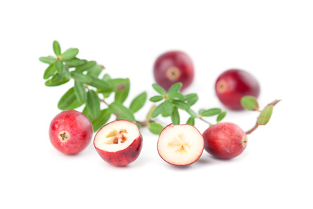 Fresh organic cranberries isolated on white の写真素材