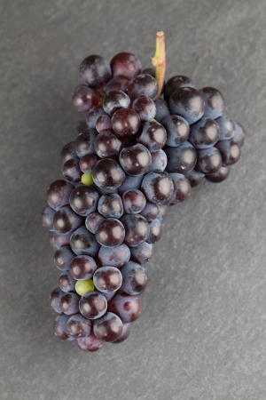 Blue grape cluster on slate board  Shallow dofの写真素材