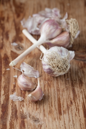 Organic garlic on wooden background  Shallow dofの写真素材