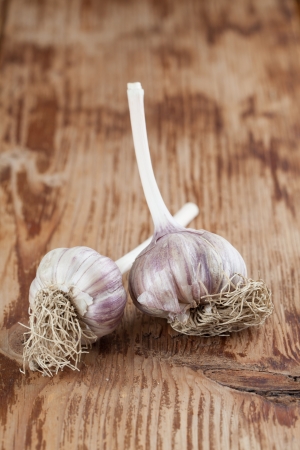 Organic garlic on wooden Shallow dofの写真素材