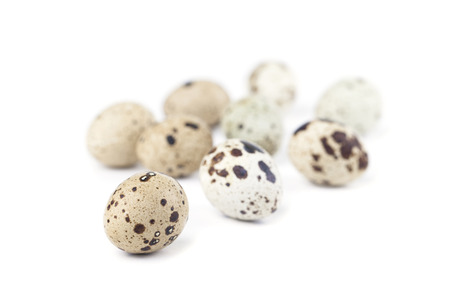 Quail eggs isolated on white の写真素材