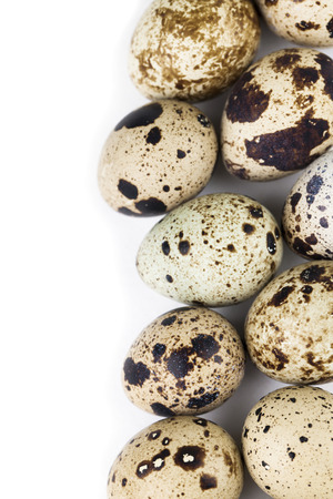Quail eggs border isolated on white の写真素材