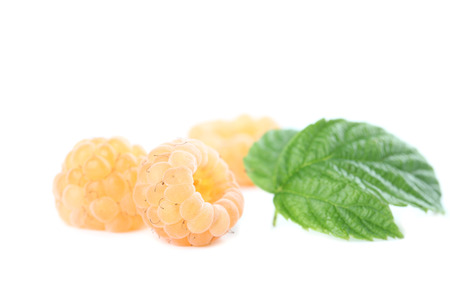 Fresh organic yellow raspberries isolated on white backgroundの写真素材