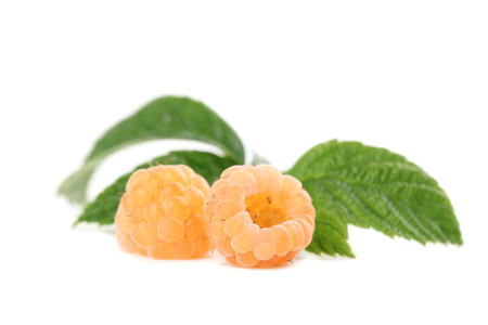 Fresh organic yellow raspberries isolated on white backgroundの写真素材