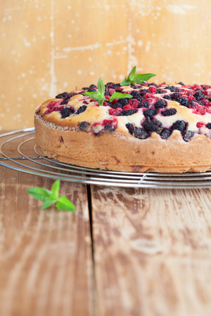 Mulberry and red currant cake. Shallow dofの写真素材