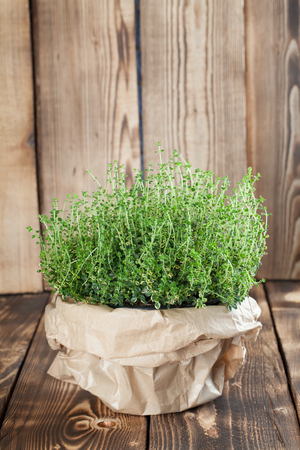 Lemon thyme plant in a paper bag on wooden background. Shallow dofの写真素材