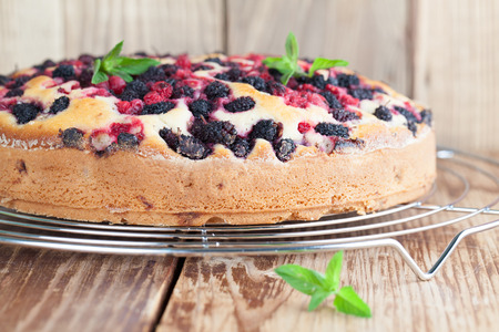Mulberry and red currant cake. Shallow dofの写真素材