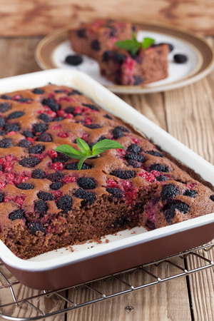Gingerbread cake with mulberries and red currants. Shallow dofの写真素材