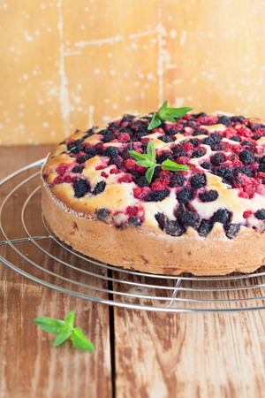 Mulberry and red currant cake. Shallow dofの写真素材
