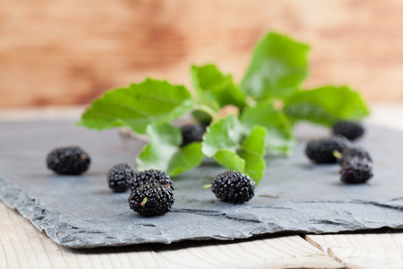 Black mulberries spilt on a slate board. Shallow dofの写真素材