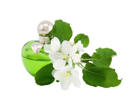 Perfume bottles and apple flowers on a white backgroundの写真素材