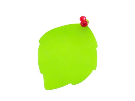 Stick in the form of a green leaf with a button on a white background, close-upの写真素材