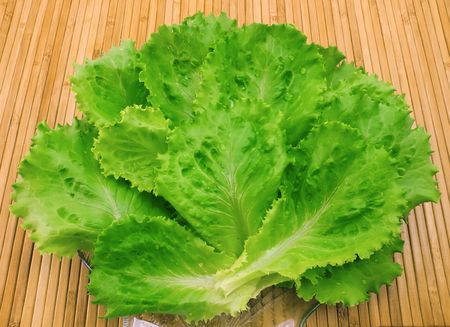 Leaves of fresh lettuce and water drops close-upの写真素材