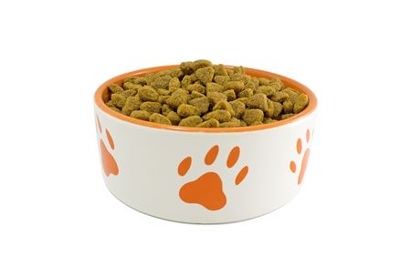 Dog bowl with pet food on a white close-upの写真素材