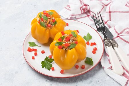 Stuffed yellow bell pepper with rice, minced meat, carrots, parsley in white plate on concrete gray stone backgroundの写真素材