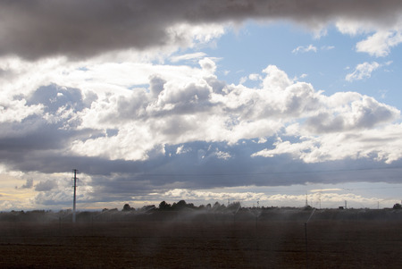 Field with sprinklers watering the sowing in a day with cloudy sky. Storm.の写真素材