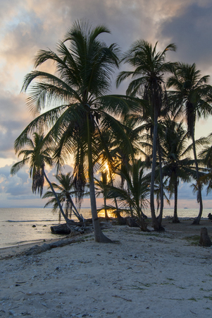 Paradise islands in Guna Yala, Kuna Yala, San Blas, Panama. Sunrise. Sunset. Palms. White sand. Coral.の写真素材