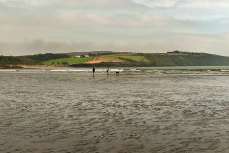 Couple walking on sandy beach leaving footprints in the sand, with a dog. Cloudy day.の写真素材