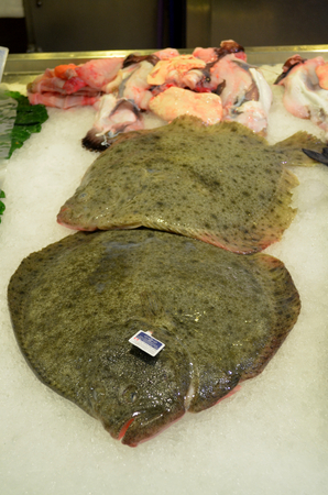 Fresh Turbot fish - Scophthalmus maximus at the fish market