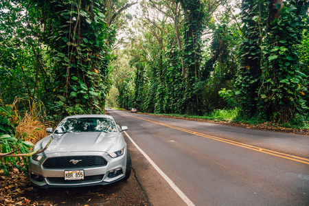 Driving Ford Mustang through Hawaii islands forests and jungles. Kauai, Hawaii. August 20, 2017.のeditorial素材