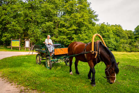 An Amish horse and carriage travels on a rural roadのeditorial素材