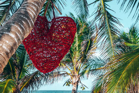 Red heart shape decor hanging on coconut tree in front of seaのeditorial素材