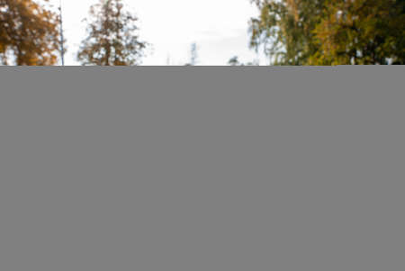 Yellow, orange and red autumn leaves in a beautiful fall park.の写真素材