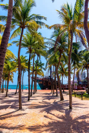 Coconut trees against pirate ship moored on harbor by seaのeditorial素材