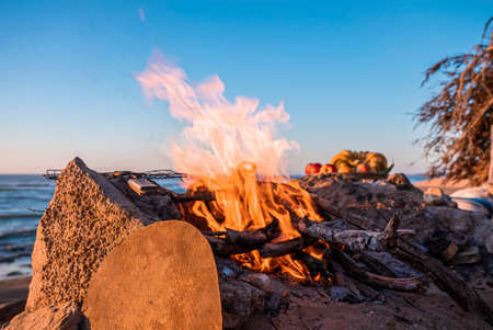 Bonfire with burning firewood on beach in evening against clear sky