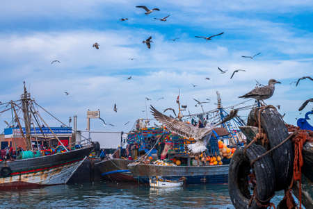 Seagulls hovering over fishing boats anchored at marina against cloudy skyの写真素材