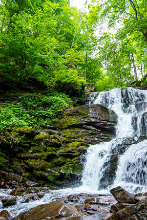 Majestic view of waterfall with water flowing through stones in green forest