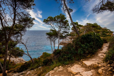 Rocky pathway amidst plants on cliff by sea against blue sky