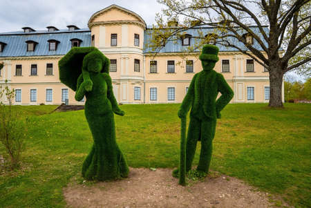 Garden flowers in the summer green park decorations.の写真素材