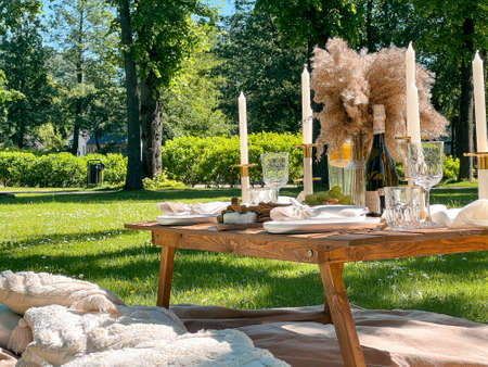 Beautiful picnic table with a wine, snacks and fruits in a beautiful field in the park.の写真素材